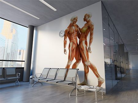 Duży obraz na ścianie, dowolna grafika anatomiczna wydrukowana drukiem ściennym. Zamiast tapety.
